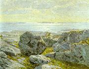 Coast view from Alandia Victor Westerholm